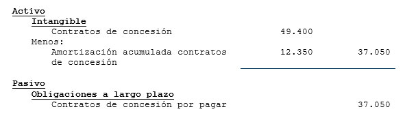 Exposición en estados financieros - Activos intangibles de duración limitada