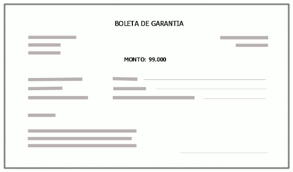 Boleta de Garantía