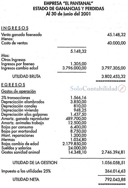 Estado de Ganancias y Pérdidas Empresa EL PANTANAL - Solución
