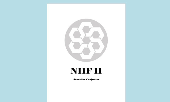 NIIF 11 - Acuerdos Conjuntos (en PDF) - Solocontabilidad.com
